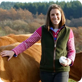 Brookes Dairy primary image